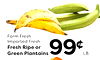 Farm Fresh Imported Fresh Fresh Ripe or Green Plantains 99¢ LB.
