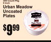 B
300 Count Pkg9 Inch
Urban MeadowUncoated Plates
9$99