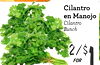 Cilantro en Manojo Cilantro Bunch 2/$ FOR