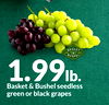 Basket & Bushel