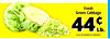 Fresh Green Cabbage 44c Lb. PLUS 10% ADDED AT CHECKOUT