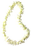 Graduation Lei