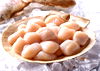 Local Sea Scallops