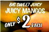 BIG SWEET JUICY JUICY MANGOS ONLY $ 2 EACH