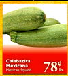 Calabazita Mexicana Mexican Squash