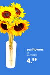 sunflowers