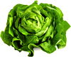 Signature Farms® Baby Carrots 1lb., Snacking Tomatoes 10 oz. or Butter Lettuce