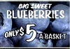 BIG SWEET BLUEBERRIES ONLY$ 5 A BASKET