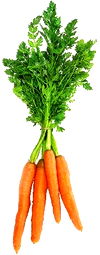 Carrots 2 - lb. Bag