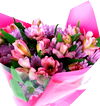 Poms & Alstroemeria Value Bunch