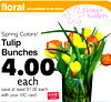 Tulip Bunches