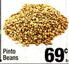 Pinto Beans