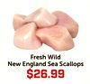 Fresh Wild New England Sea Scallops $26.99