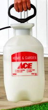 Ace
