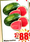 LBS. 88 Watermelon