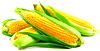 Sweet Corn