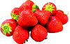 Organically Grown Strawberries