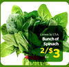 Grown In USA Bunch of Spinach 2/$3 for