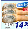 fresh fish LIVI GEODUCK 14 9 L