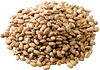 Pinto Beans
