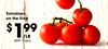 Tomatoes on the Vine