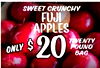 SWEET CRUNCHY FUJI APPLES 20 TWENTY ONLY $ POUND BAG