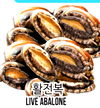LIVE ABALONE