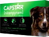 Capstar