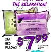 ahhh, smell
the relaxation!
SPA
BED
PILLOWS
Their Price
$19.99