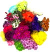 Build your Own Bouquet