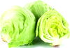 Organic Iceberg Lettuce