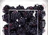 Strawberries or Blackberries
