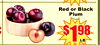 Red or Black Plum Ciruela $198 LB.