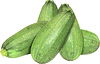 Italian, Yellow or Grey Squash