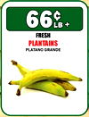 + FRESH PLANTAINS PLATANO GRANDE