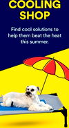 Dog Deals - Cooling