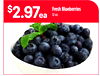 Fresh Blueberries