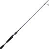 Bass Pro Shops Pro Qualifier Spinning Rod