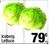 Iceberg Lettuce