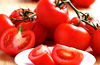 ORGANIC TOMATOES ON THE VINE