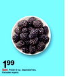 Fresh 6-oz. blackberries
