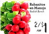 Rabanitos en Manojo Radish Bunch FOR