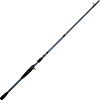 Bass Pro Shops Pro Qualifier Casting Rod