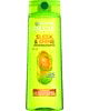 Garnier Fructis
