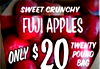 SWEET CRUNCHY FUJI APPLES ONLY $ 20 TWENTY POUND BAG