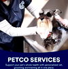 Services - All