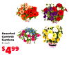Assorted Confetti Gardens