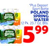 Poland Spring