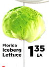 Florida 35 Iceberg 1 Lettuce