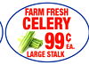 FARM FRESH CELERY 99 ??. LARGE STALK